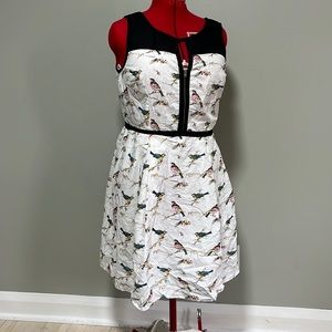 Eshakti Front zip Dress in Birds and Black